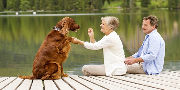 فواید نگهداری از حیوانات خانگی برای سالمندان